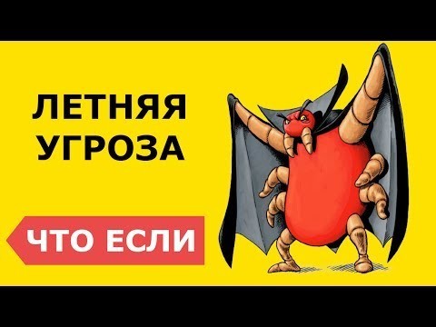 Что делать, если укусил клещ?