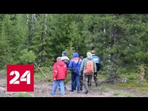Найден малыш, пропавший в лесу 4 дня назад.Накажут родителей? (мнение Кацайлиди Андрей Валерьевич)