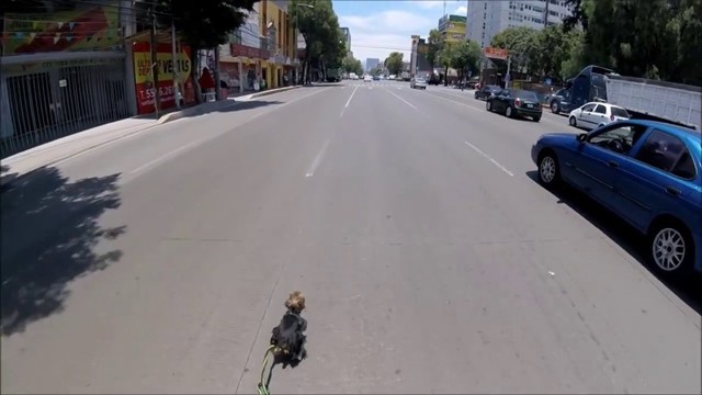 Один из самых крутых триллеров с погоней, что нам довелось видеть!