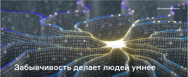 Забывчивость делает людей умнее