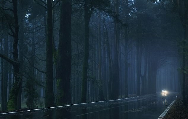 Жуткие истории, случившиеся во время ночной езды на автомобиле