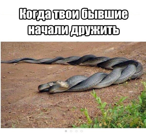 Смешные комменты из соцсетей