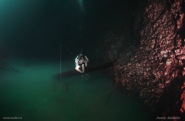 Скрытая от глаз подводная река, протекающая вдоль океанского дна в Мексике