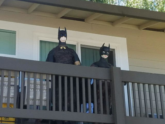 13 снимков, от просмотра которых лучше воздержаться