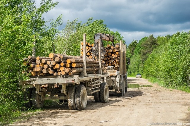 Пост разгневанных дорогами москвичей