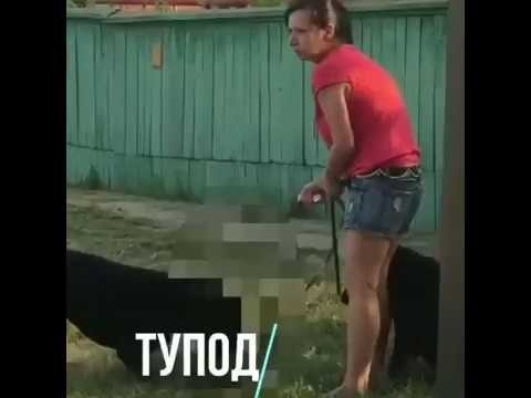 Собака загрызла кошку на глазах у детей