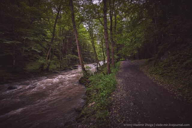 Куда ведет тропинка в парке Боржоми?