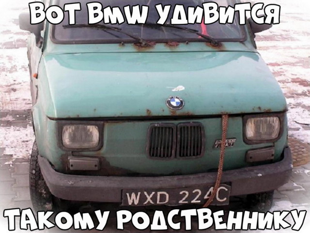 Автовсячина