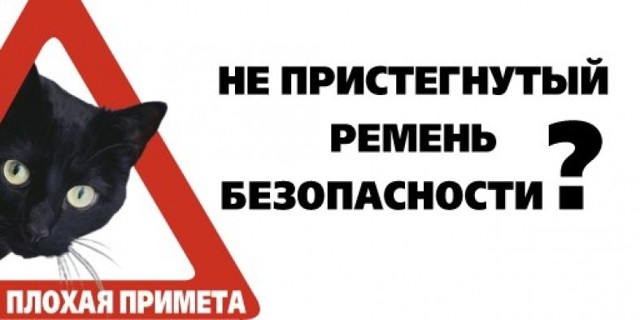 Хирург показал важность ремней безопасности, выложив рентген черепа после ДТП