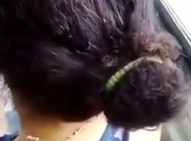 Изумленный пассажир автобуса заснял волосы женщины-водителя, кишащие насекомыми