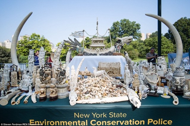 В Нью-Йорке прилюдно раздробили контрафактные изделия из слоновой кости на 4,5 млн долларов
