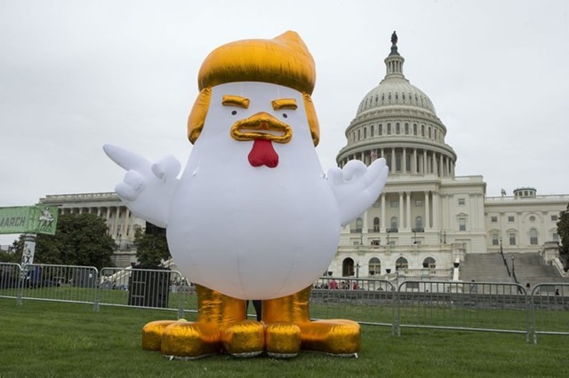 Перед Белым домом появился надувной цыпленок-Трамп