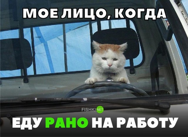 Подборка автомобильных приколов