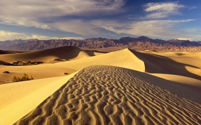 Интересные факты о пустыне