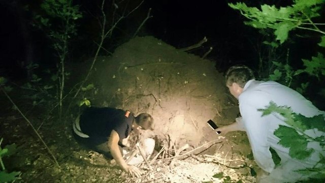 Щенок тихо лежал в лесной яме, ожидая конца…