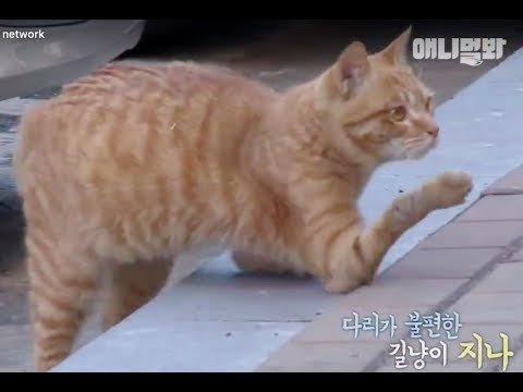 пост доброты