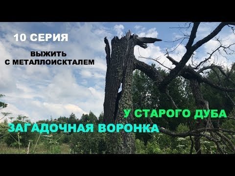 Загадочная воронка в лесу и редкая находка!