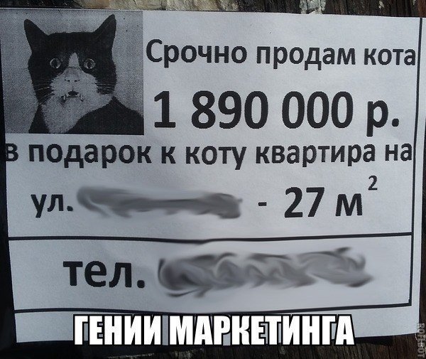 Смешные картинки с надписями