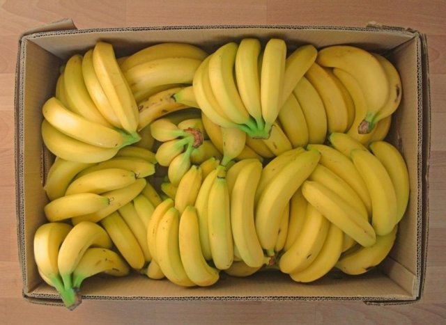 Как выращивают бананы? Современная банановая ферма!