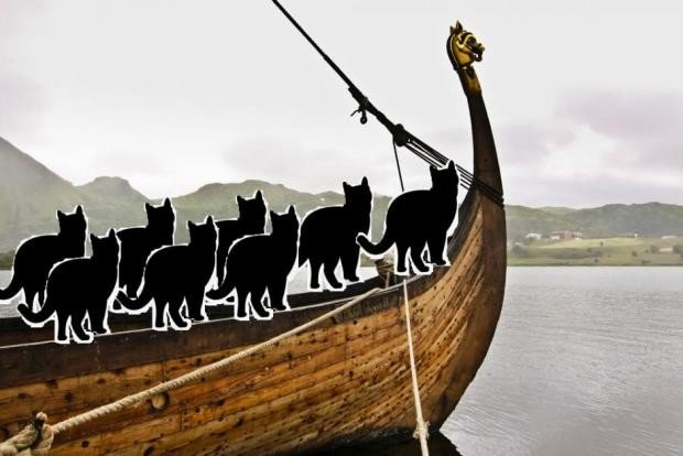 Викинги брали в дальнюю дорогу котов