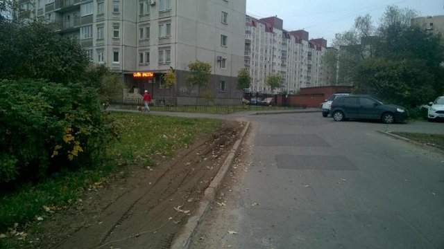 История одного газона в Санкт-Петербурге