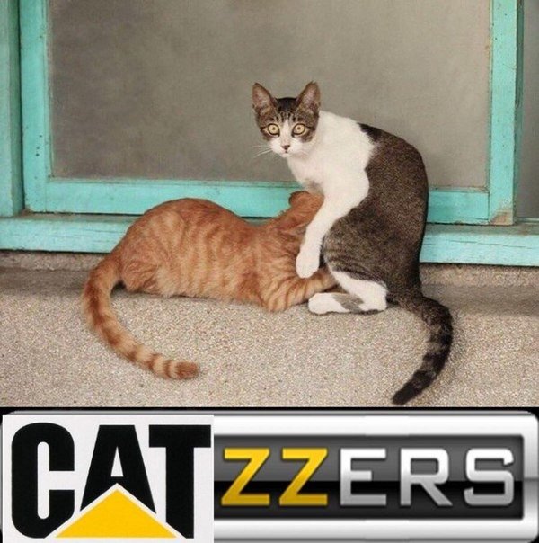 Как вы считаете, кто прав?