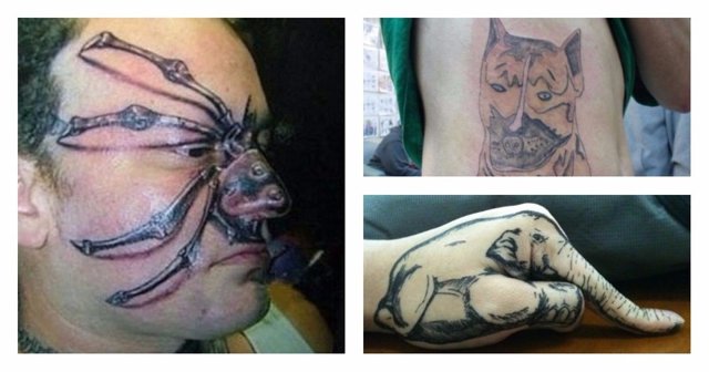 25 забавных фотографий, демонстрирующих худшие татуировки с изображением животных