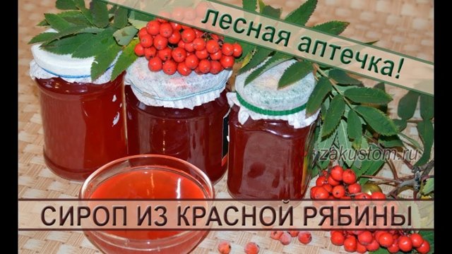 Осенние дары природы: сироп из красной рябины