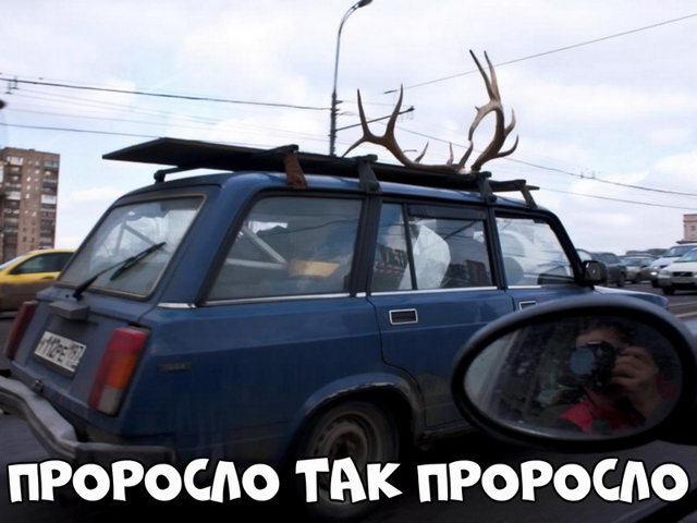 Автовсячина