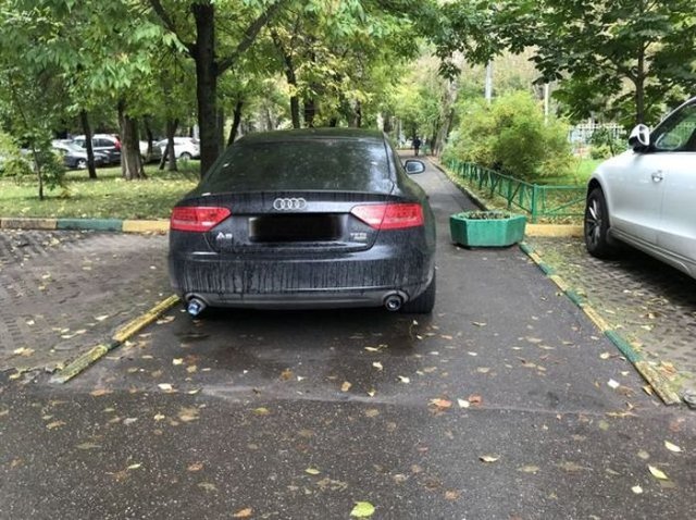 Женщину отучили парковаться в неположенном месте