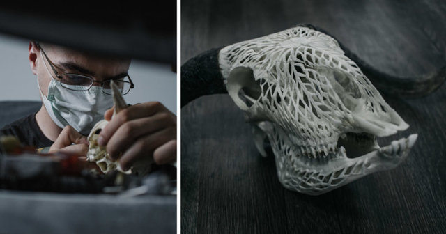 Румынский резчик по кости превращает черепа в произведения искусства