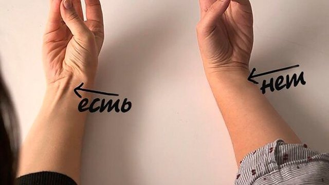 Мышца, которая есть только у 15% населения планеты