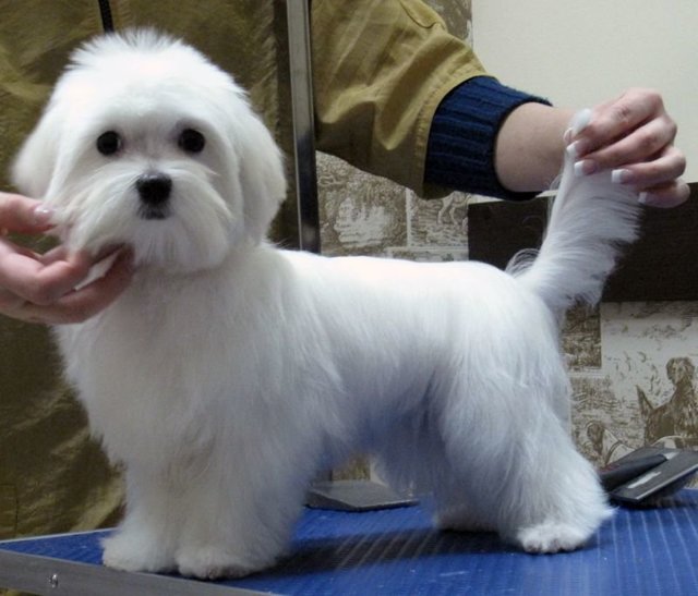 Страшилка на ночь