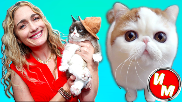 5 самых знаменитых котов