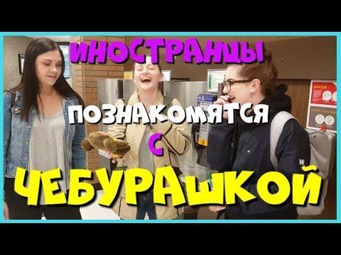 Коала, Трамп или телепузик?