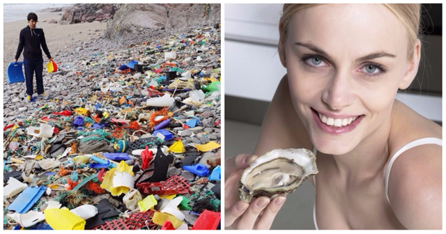 Любители морепродуктов съедают до 11 тысяч частиц пластика в год
