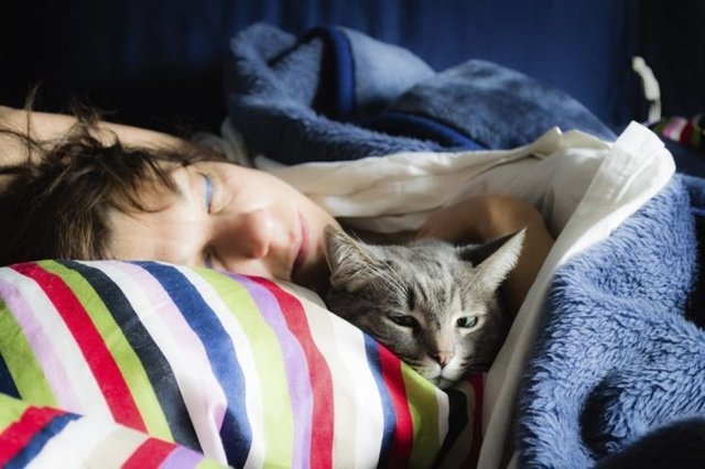Если кошка любит спать в вашей постели - вот что это значит