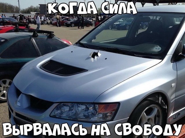 Автовсячина