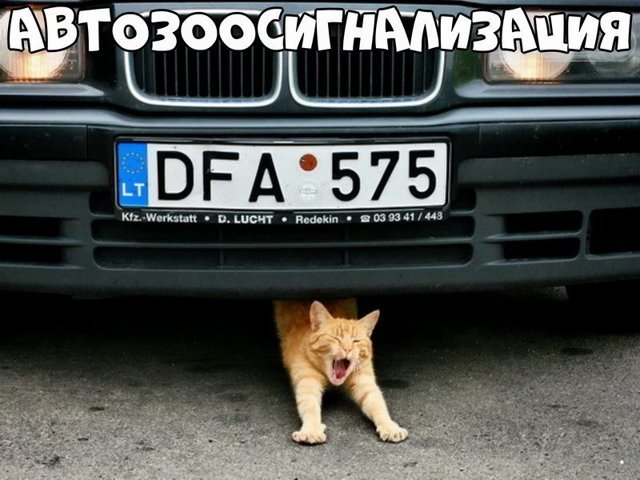 Автовсячина