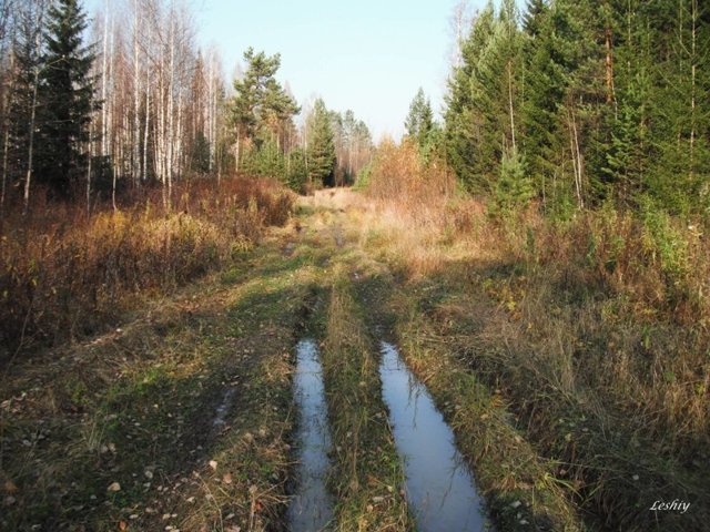 Интересная история: тайга одному