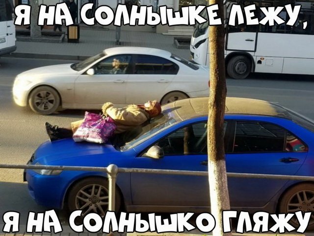 Автовсячина