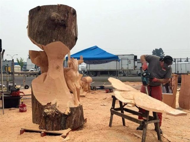 Когда за дело берется настоящий профессионал