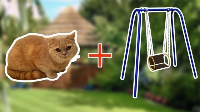 Атракцион для кота в домашних условиях