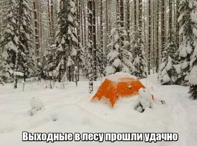Картинки с надписями для настроения