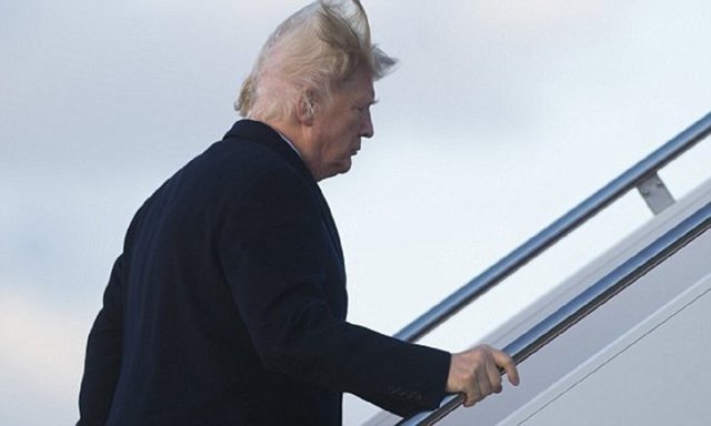 Носит ли Дональд Трамп парик?