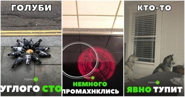 30 позитивных картинок, которые скрасят ваш день