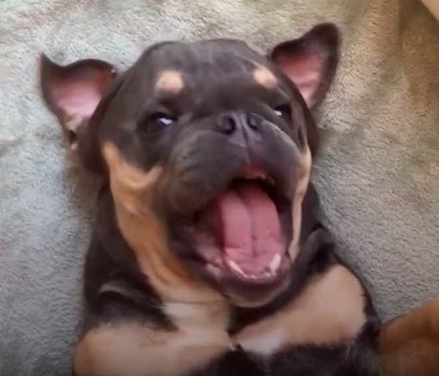 У него нет шансов прожить дольше 6 месяцев