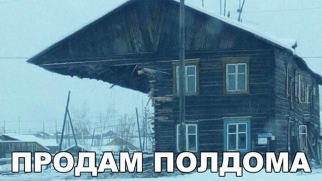 Смешные картинки с надписями