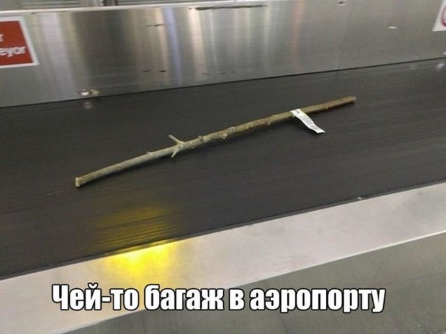 Смешные картинки с надписями