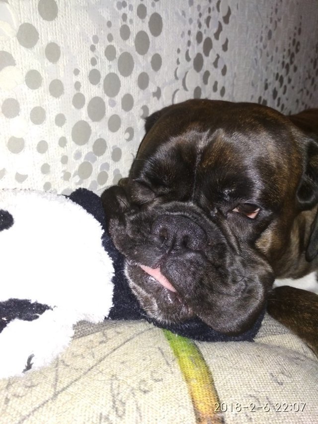 Тест на интеллект для Лады